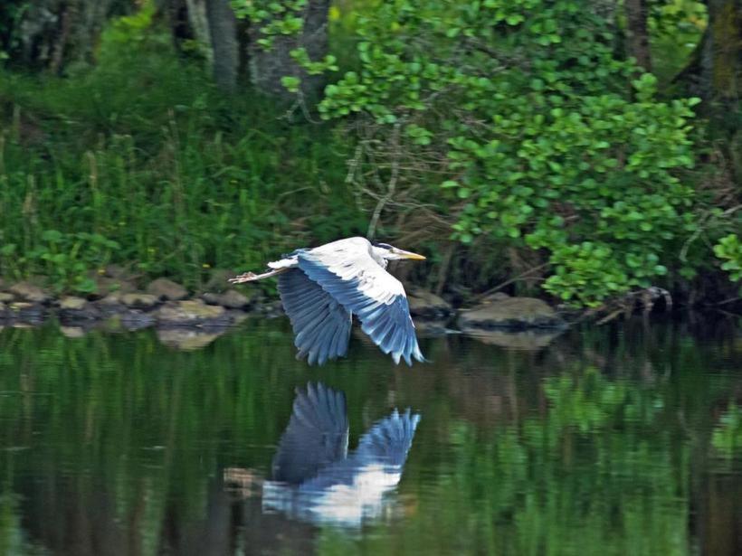 Herons Rest ดรัมนาดรอคิท ภายนอก รูปภาพ